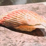 島津 - 鹿児島出水　アジ