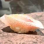 島津 - 宮城 春子鯛