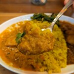 レインボウスパイス - 