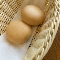 イタリア料理 リストランテ フィッシュボーン - 