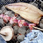 魚太郎 浜焼きバーベキュー  ラグーナ蒲郡店 - BBQ