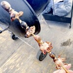 魚太郎 浜焼きバーベキュー  - いいだこ串