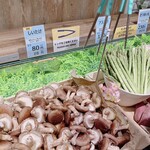 魚太郎 浜焼きバーベキュー  - 