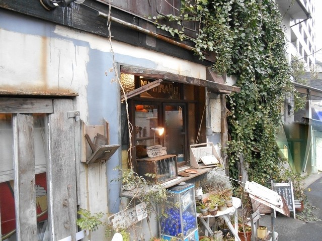 ベストコレクション 飯田橋 猫 カフェ 100 で最高の画像