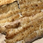 わたべ - しっぽ部