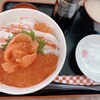 朝市食堂