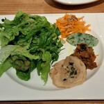 ジェンティーレ - フレッシュなサラダが美味しい、ドレッシングの量も味も丁度良いです とれたてワラビのインボルティーニ、滋味深い キャロットラペの味付も好みです マッシュポテトも添えてあります