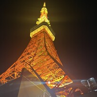 ワカヌイ グリル ダイニング バー 東京 - 