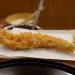 Tempura Kuruma - 