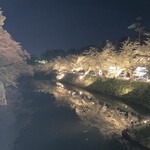 Poruto Buran - お堀のライトアップ 桜満開の時はとっても素敵だったんだろうなぁ。。