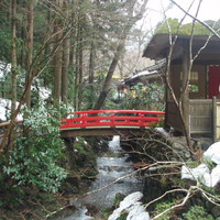 うかい鳥山 - 最初の橋から奥を望む