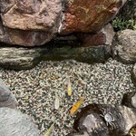 札幌かに本家 - 