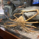 札幌かに本家 - 