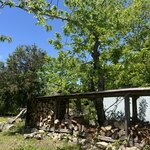 グリージョ エ アオ - 