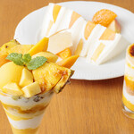 Mizunobu Fruit Parlor Labo - 季節のメニュー【マンゴー】