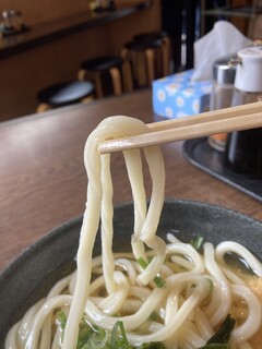 Komachi Udon - 