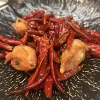 CINA New Modern Chinese - 
