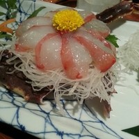 かに道楽 新宿本店 - 刺身