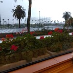 Cafe CANNA - 窓から見える景色は宮崎なのに雨☔