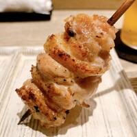 鳥カミ - 