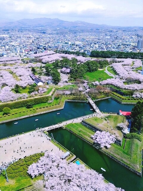 五稜郭タワー １階売店