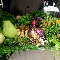 レフェルヴェソンス - 