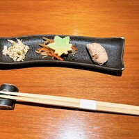 KOiBUMi - 
