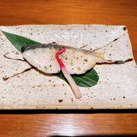 KOiBUMi - 