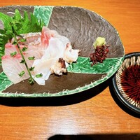 KOiBUMi - 