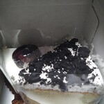 スターバックスコーヒー - 