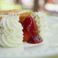 キハチ 青山本店 - ナポレオンパイ（1650円）