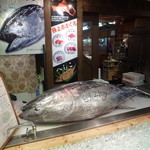 新鮮組 - 61.2kg の巨大なマグロが飾ってありました♪