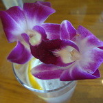 The Veranda - アサイーウォッカ