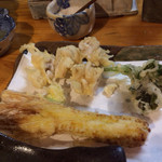 石臼挽き手打 蕎楽亭 - ヤングコーン、白子、菜の花、など