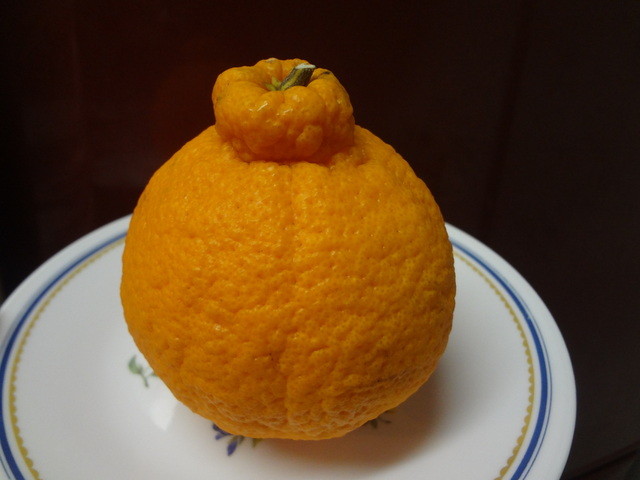 ハマッ子直売所 都筑中川店 - センター北/その他 | 食べログ