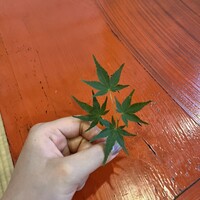 鮨うえの - 