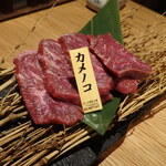 しなもん堂 - カメノコ