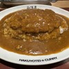 旨辛カレー専門店 白洋亭