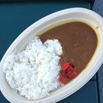 阪神甲子園球場 - 甲子園カレー 700円