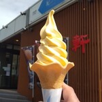紀ノ川サービスエリア(上り線) フードコート - みかんソフトクリーム