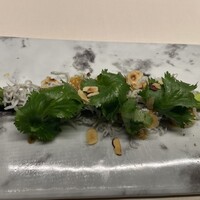 TACUBO - 