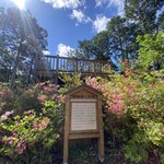 うなぎ 横輪おりおり - 山頂