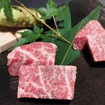 名古屋焼肉きらく - 本日の和牛ヒレ