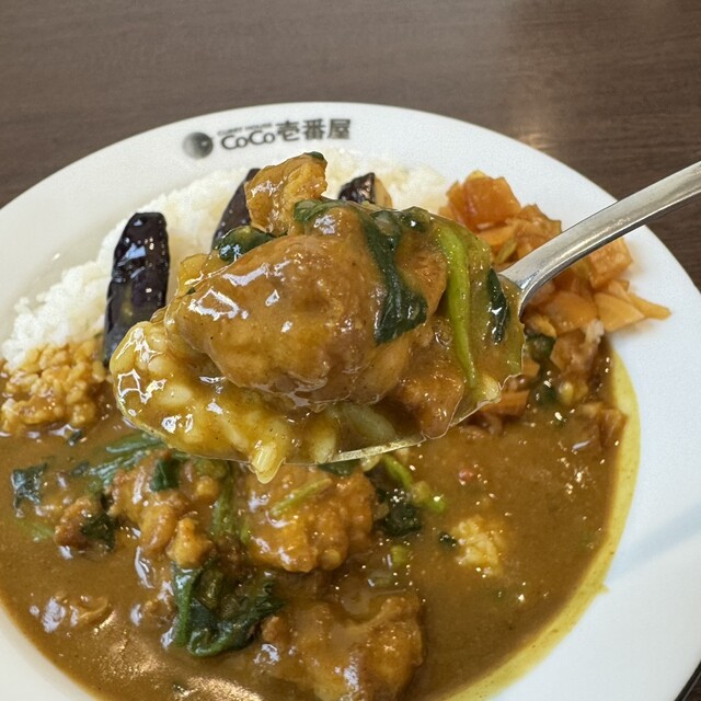 CoCo Ichiban Ya Moriyama Shidan Aji Ten photo 5