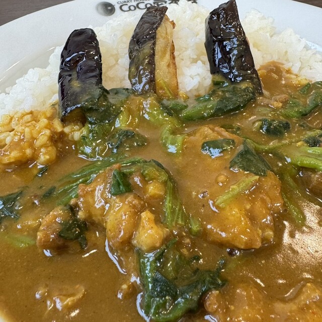 CoCo Ichiban Ya Moriyama Shidan Aji Ten photo 3