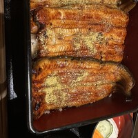 うなぎ割烹 白金台 まつ本 - 