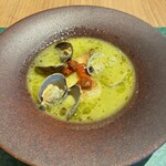 GLICINE di ACQUA PAZZA - 