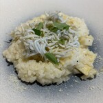 GLICINE di ACQUA PAZZA - 