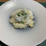 GLICINE di ACQUA PAZZA - 