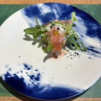 GLICINE di ACQUA PAZZA - 